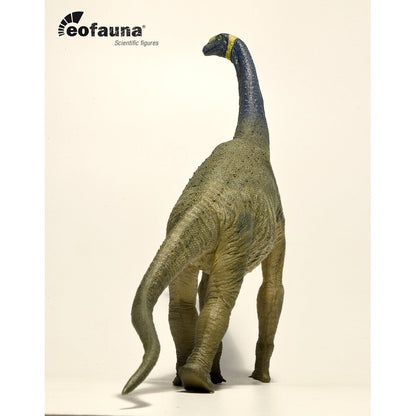 Eofauna Atlasaurus imelakei model 1:40 scale - Modello di Dinosauro sauropode