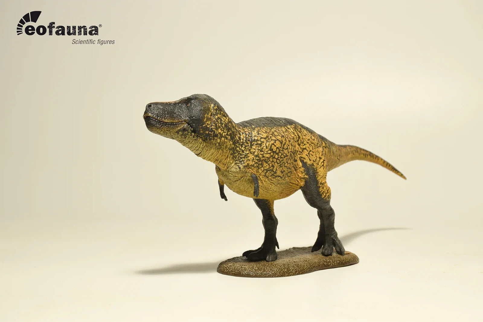 Eofauna Tyrannosaurus rex 2024 -  Dinosauro in Scala 1:35 con Mandibola Mobile 