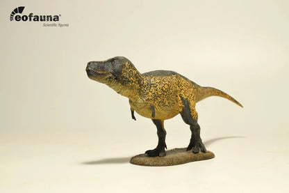 Eofauna Tyrannosaurus rex 2024 -  Dinosauro in Scala 1:35 con Mandibola Mobile 