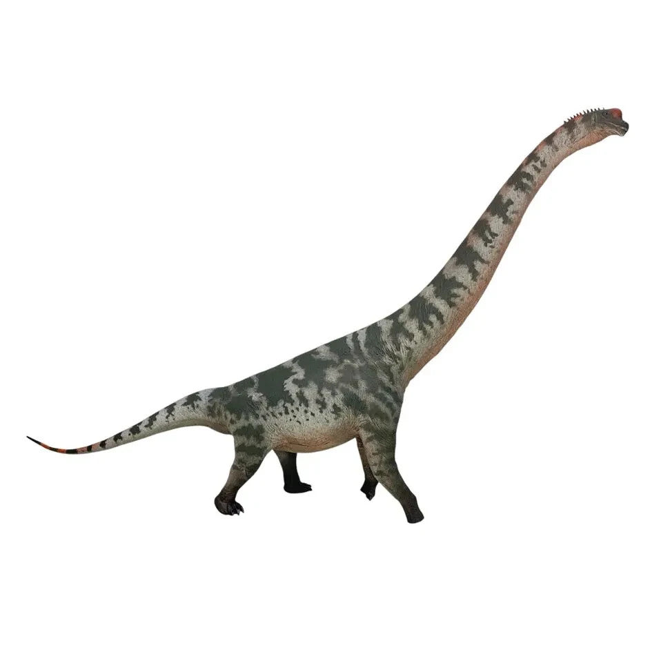 HLG 158 Brachiosaurus Haolonggood Du-Qian - modello di dinosauro scala 1:35