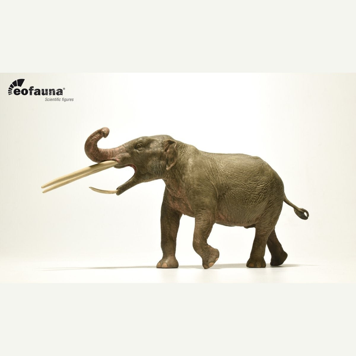 Eofauna 08 Konobelodon atticus