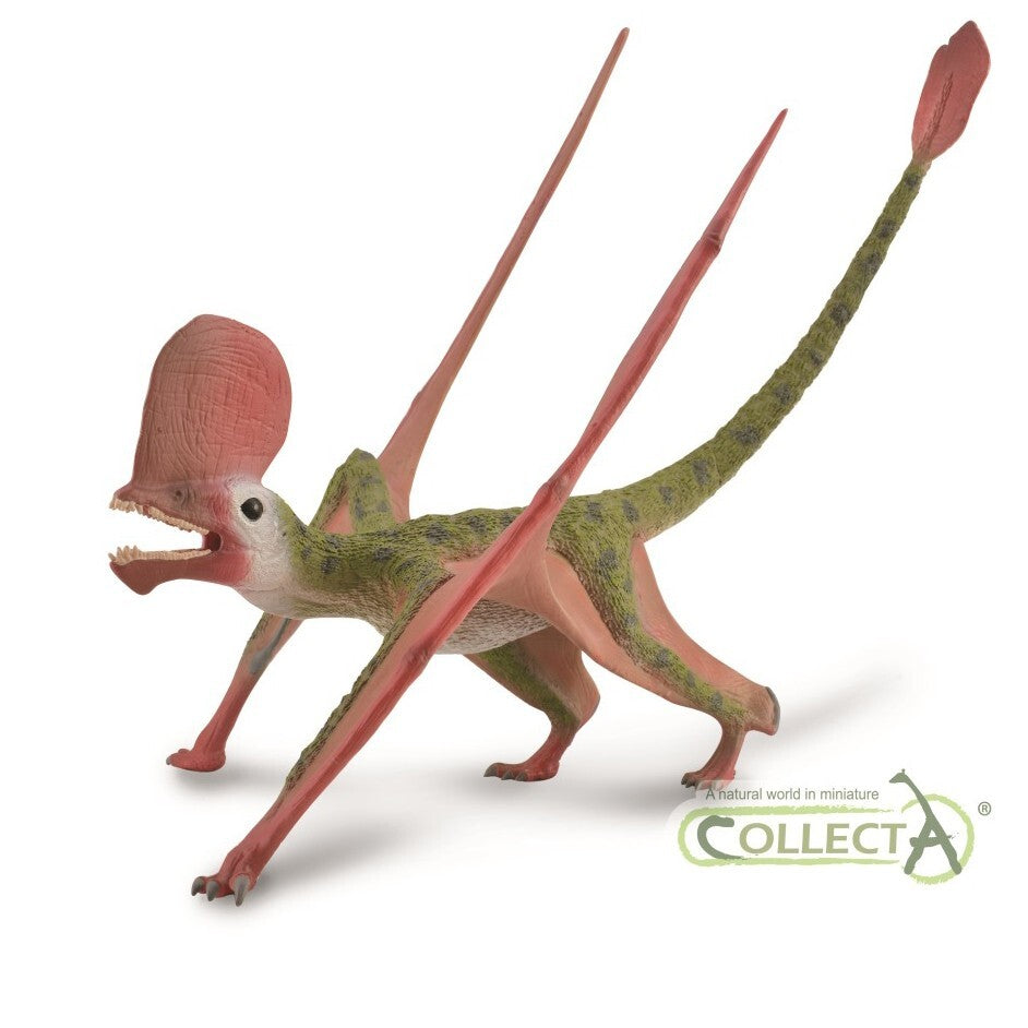 CollectA 88886 Caviramus Deluxe Modello con mandibola movibile - pterosauro