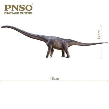 PNSO 2021 Erma il Mamenchisaurus dinosauro linea museale in scala 1:45