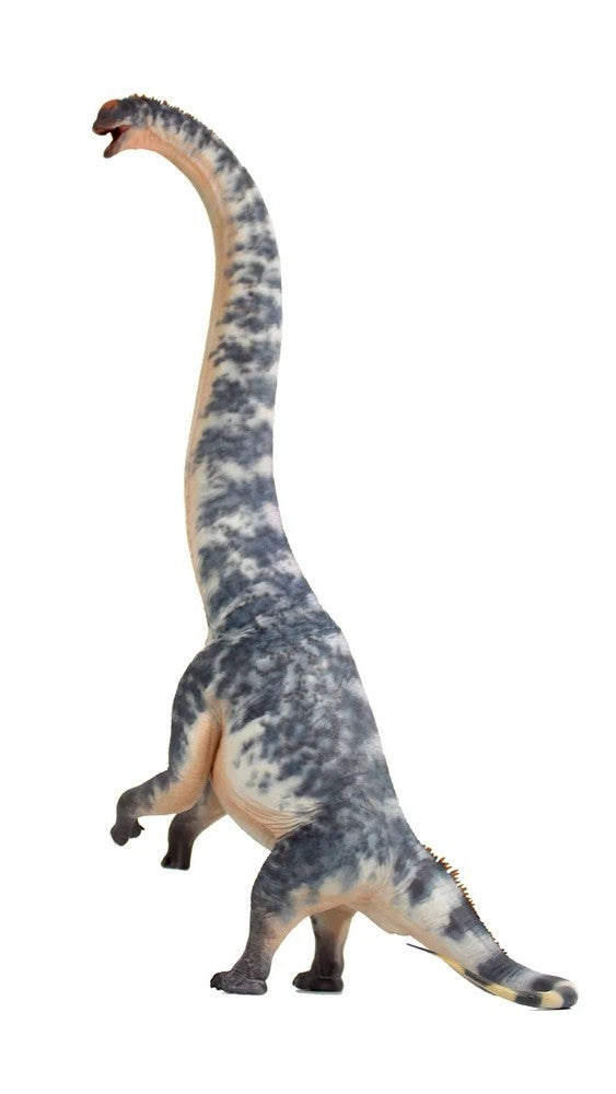 Haolonggood 185a Sauroposeidon -Qing Shu Bao - modello di dinosauro scala 1:35
