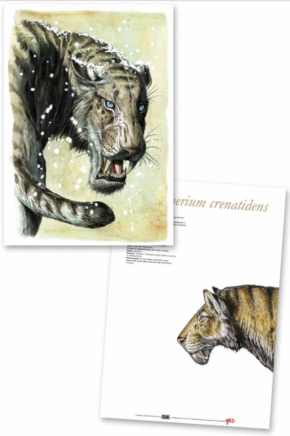 Stampe Artistiche Prehistoric Minds 29,7 x 42 cm Stampa offset fronte e retro