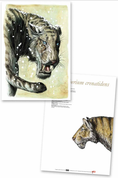 Stampe Artistiche Prehistoric Minds 29,7 x 42 cm Stampa offset fronte e retro