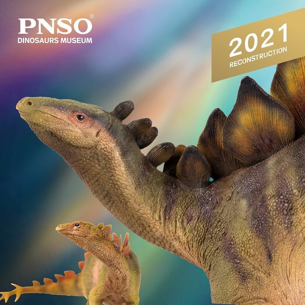 PNSO 2021 Biber lo Stegosaurus & Rook dinosauro linea museale in scala 1:35