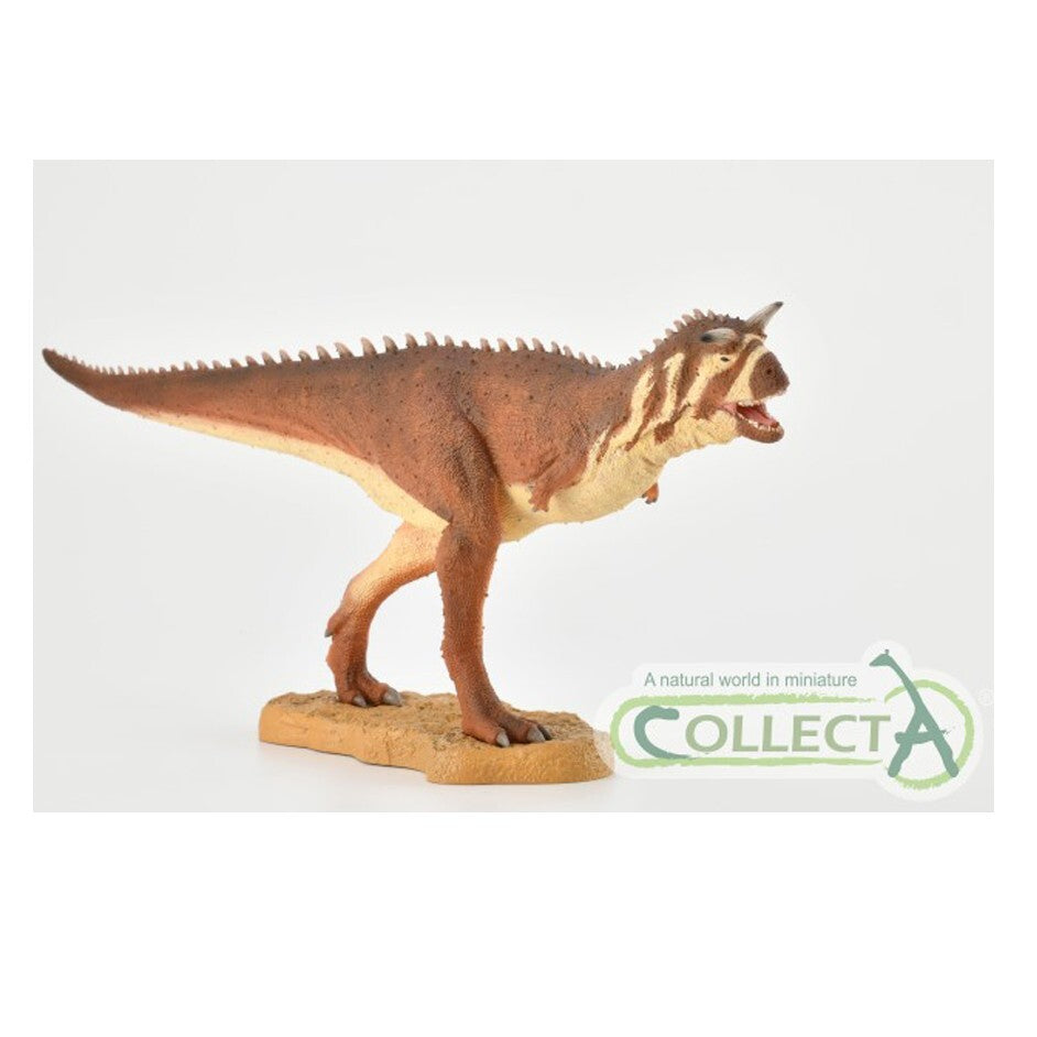 CollectA 88842 2018 Carnotaurus Deluxe 1:40 Modello di Dinosauro teropode