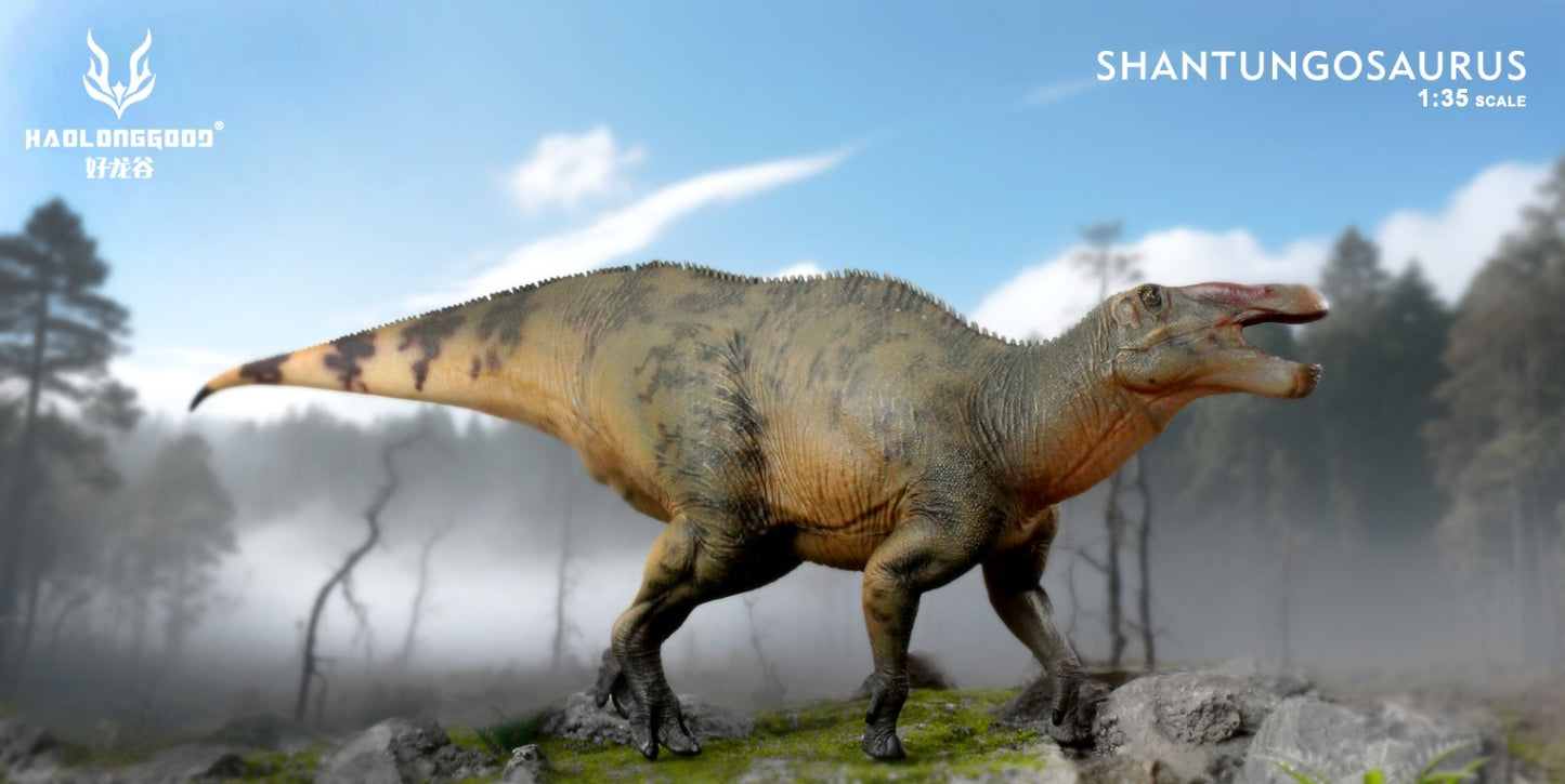 HLG 178 Shantungosaurus You Jun Da Haolonggood - modello di dinosauro scala 1:35