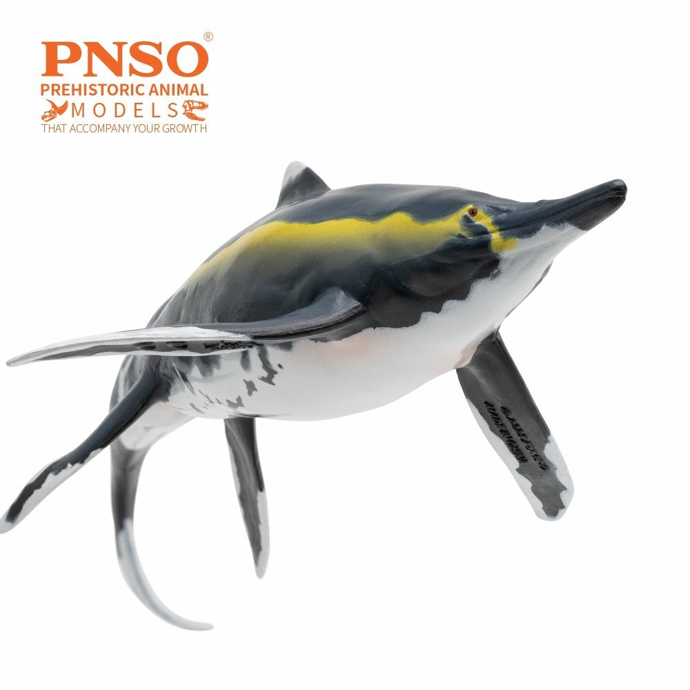 PNSO 2025 Youran the Guizhouichthyosaurus - modello di rettile marino ittiosauro