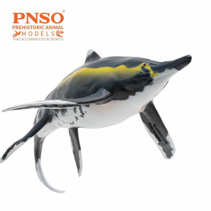 PNSO 2025 Youran the Guizhouichthyosaurus - modello di rettile marino ittiosauro