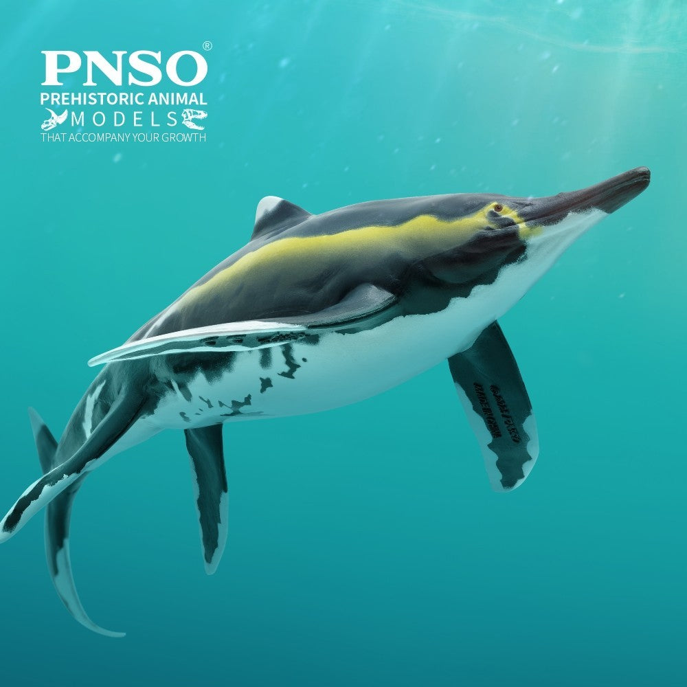 PNSO 2025 Youran the Guizhouichthyosaurus - modello di rettile marino ittiosauro