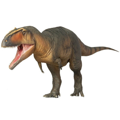PNSO 2023 Lucas il Giganotosaurus dinosauro linea museale in scala 1:35