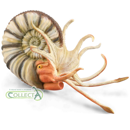 CollectA 88902 Pleuroceras Ammonite - Modello Cefalopode - Conchiglia