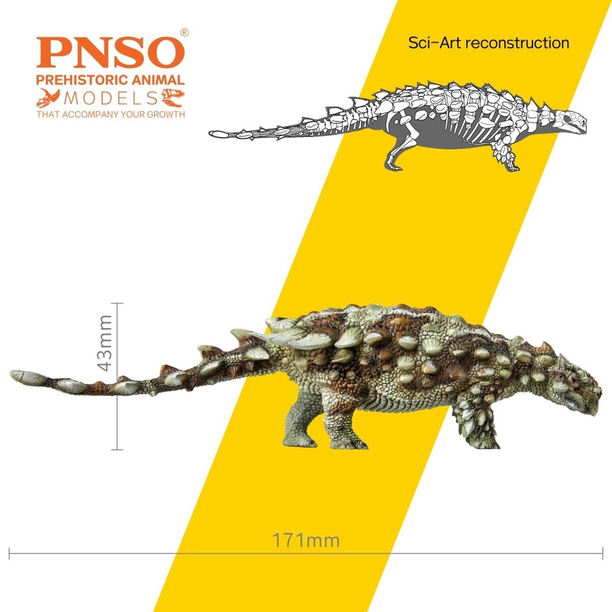 PNSO 2020 Bart il Pinacosaurus dinosauro in scala 1:35