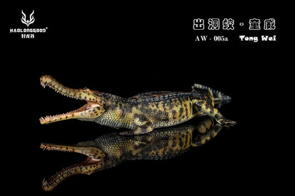 Haolonggood AW 005a Sarcosuchus imperator Tong Wei - coccodrillomorfo scala 1:35