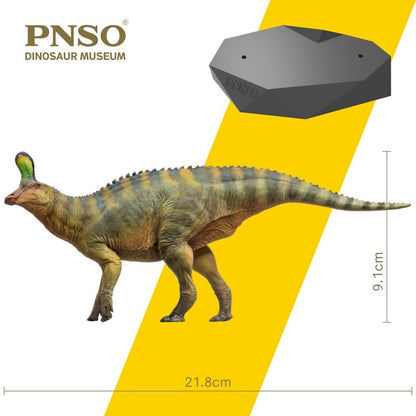 PNSO 2022 Xiaoqin lo Tsintaosaurus dinosauro linea museale in scala 1:35