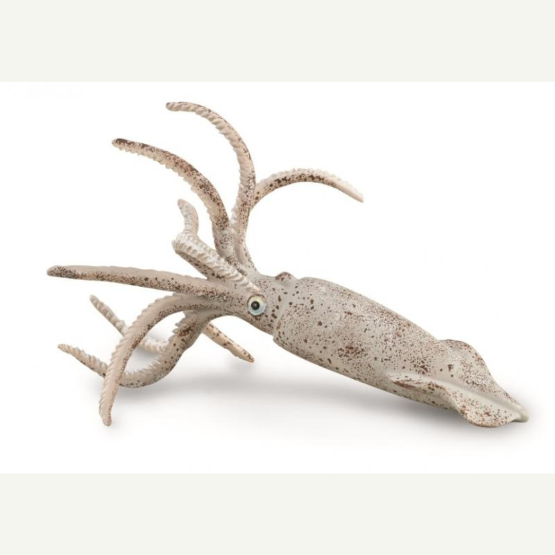 CollectA 88904 Belemnite
