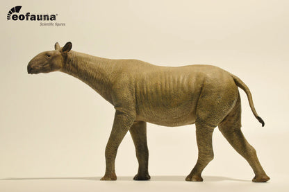 Eofauna 14 Paraceratherium grangeri