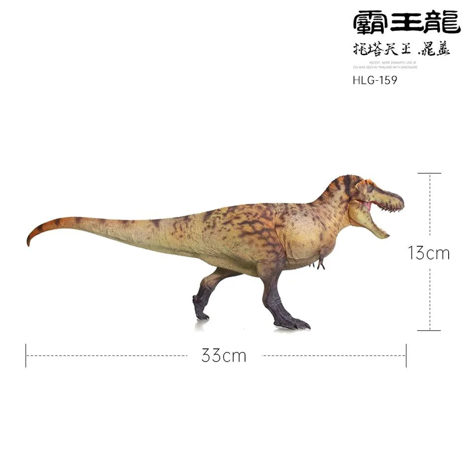HLG 159-160 Tyrannosaurus rex
