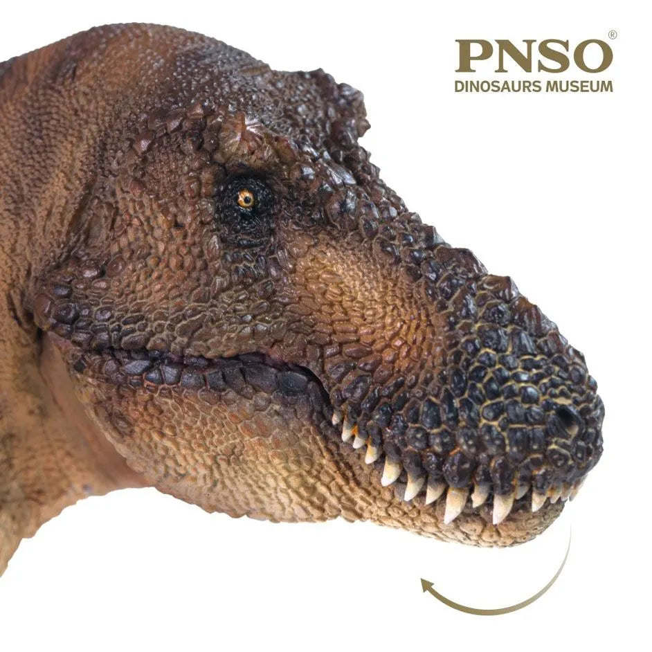 PNSO 11 Andrea the Tyrannosaurus rex