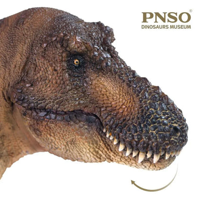 PNSO 11 Andrea the Tyrannosaurus rex