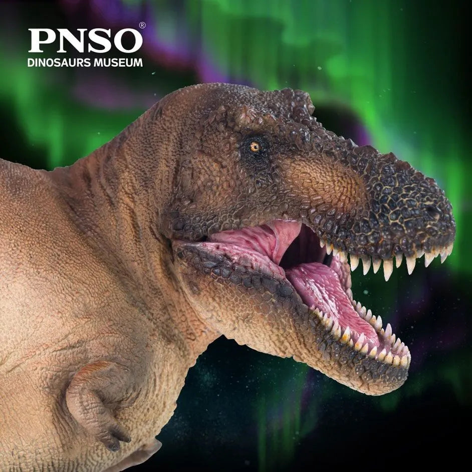 PNSO 11 Andrea the Tyrannosaurus rex