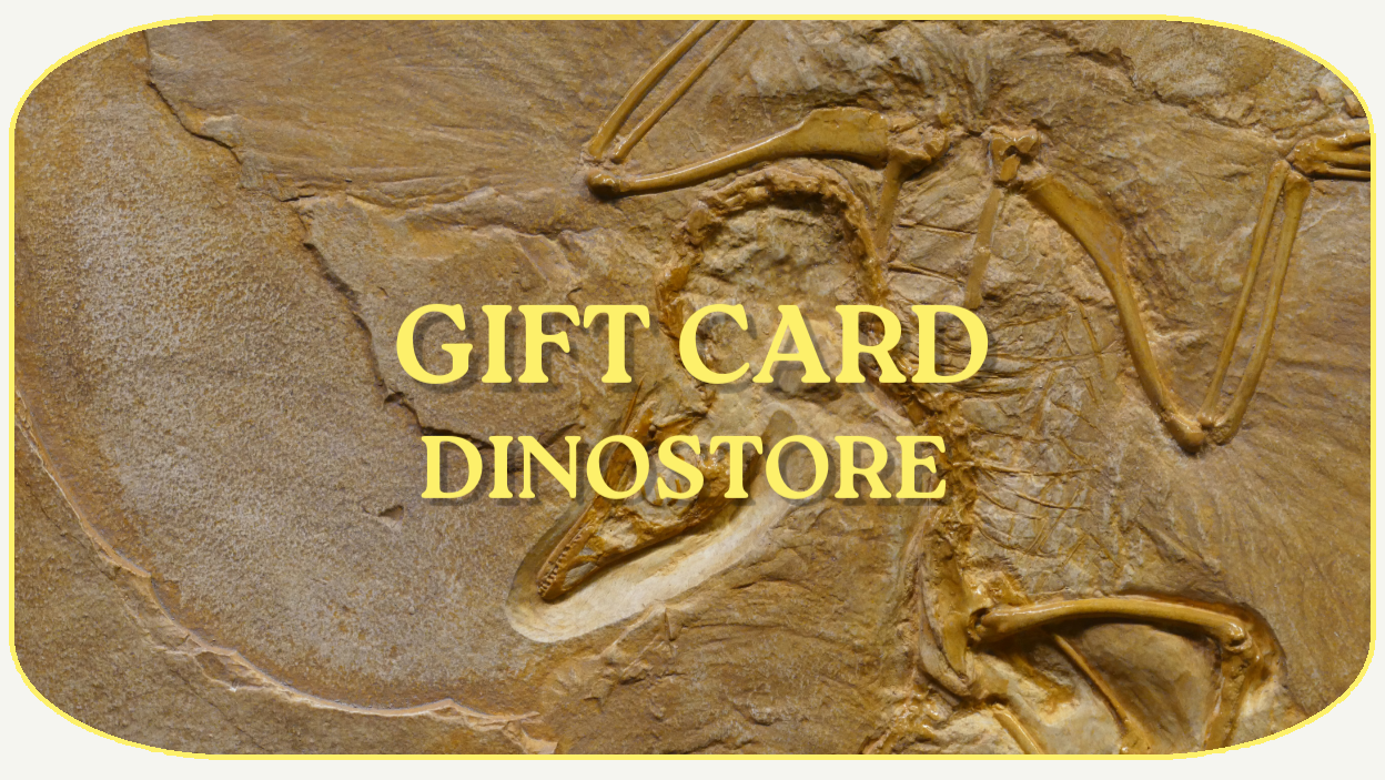 Gift Card Dinostore