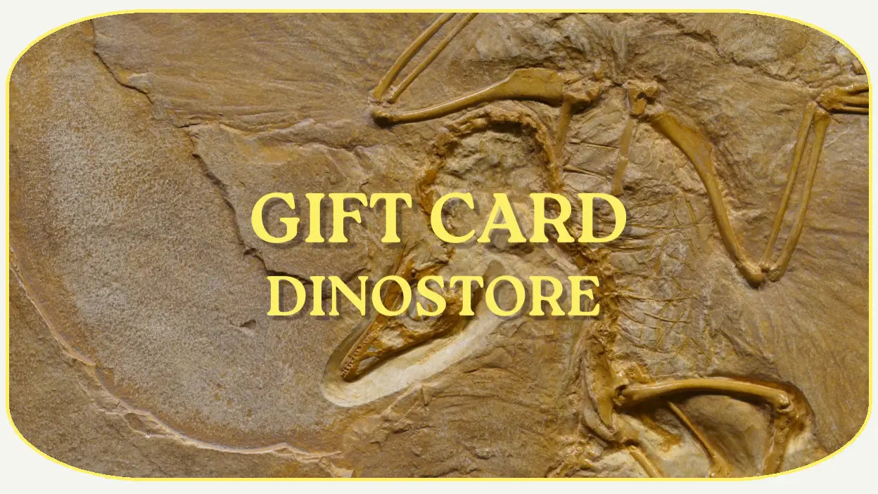 Gift Card Dinostore