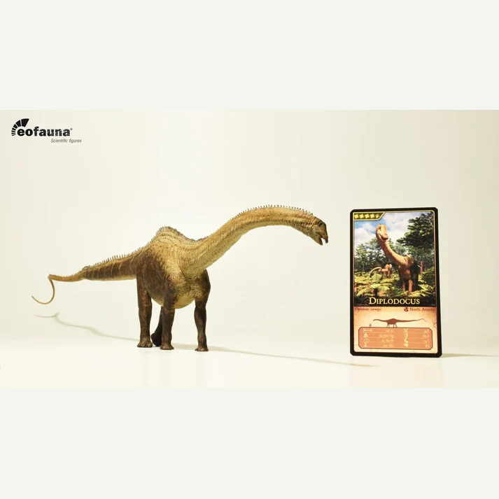 Eofauna 07 Diplodocus carnegii