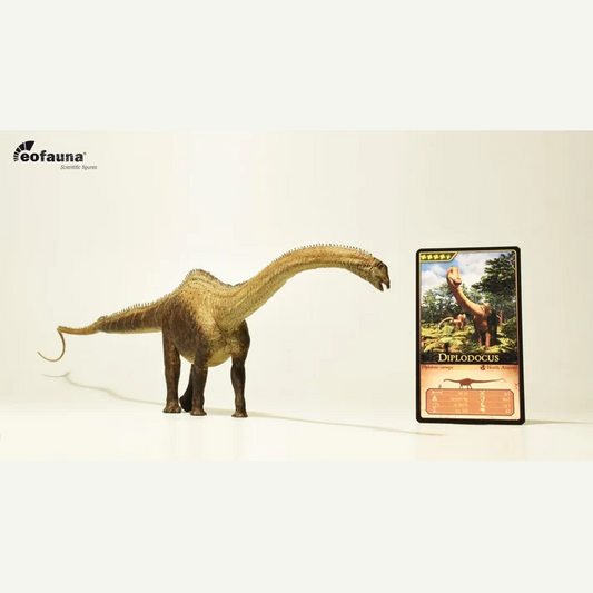 Eofauna 07 Diplodocus carnegii